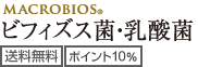 送料無料、ポイント10%