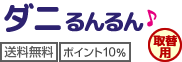 送料無料、ポイント10%