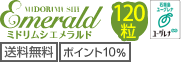 送料無料、ポイント10%