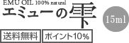 送料無料、ポイント10%