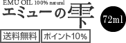 送料無料、ポイント10%