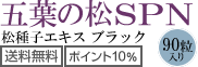 送料無料、ポイント10%