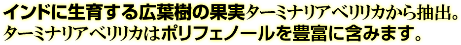 ポリフェノールを豊富に含みます