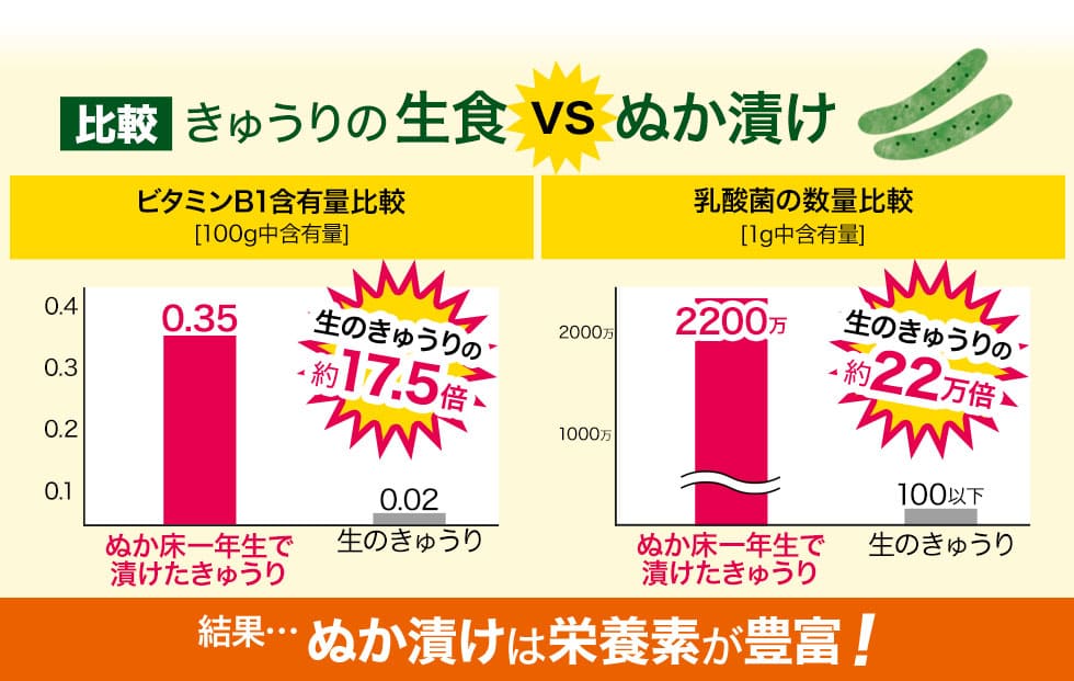 きゅうりの生食とぬか漬け、ビタミンB1、乳酸菌の含有量比較、ぬか漬けのほうが栄養素が豊富に含まれている