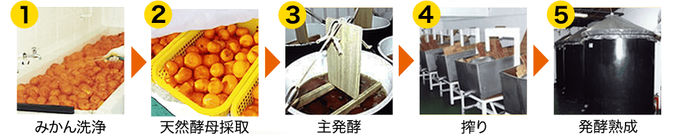 天然酵母ができるまで、みかん洗浄、天然酵母採取、主発酵、搾り、発酵成熟