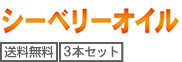 送料無料