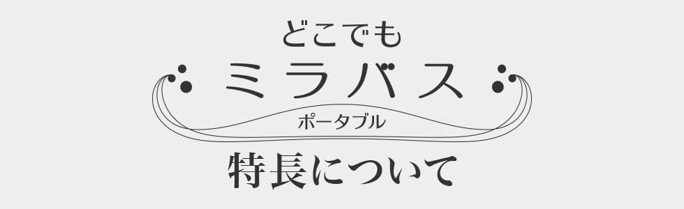 どこでもミラバス ポータブルについて