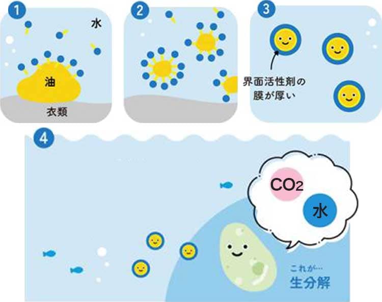 海をまもる洗剤の場合、細かく分解された油は、微生物が水と二酸化炭素にすばやく分解します。