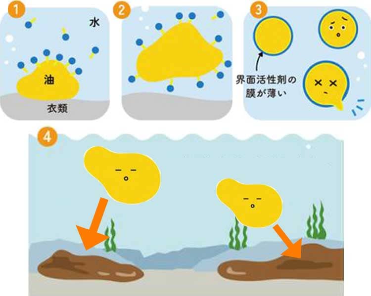 一般の合成洗剤は、油が分解されず海の底でヘドロになります。